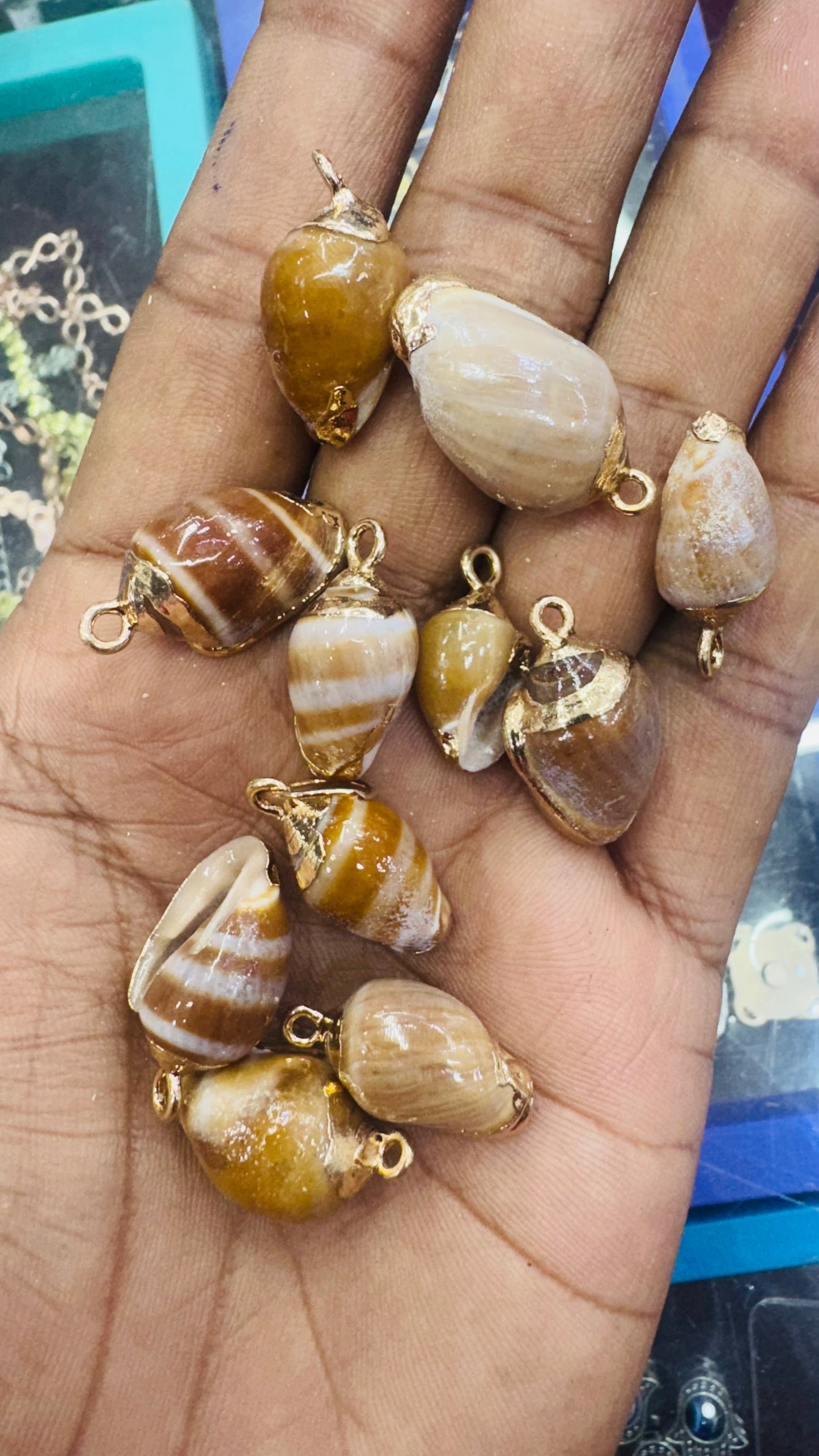 Gold Seashell, Natural Sea Shell Pendant