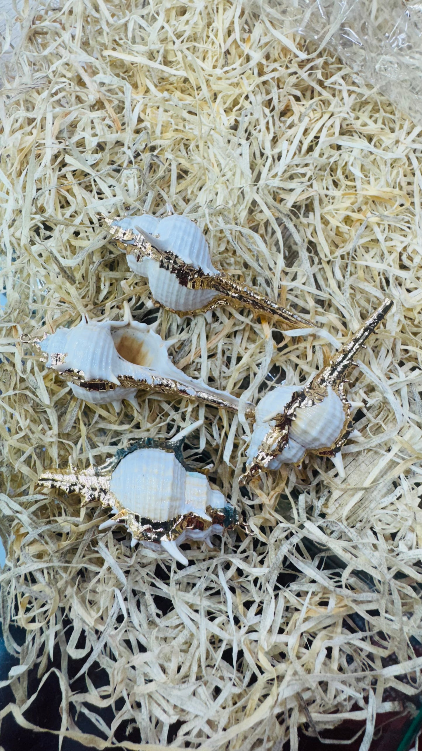 Gold Seashell, Natural Sea Shell Pendant,65 MM