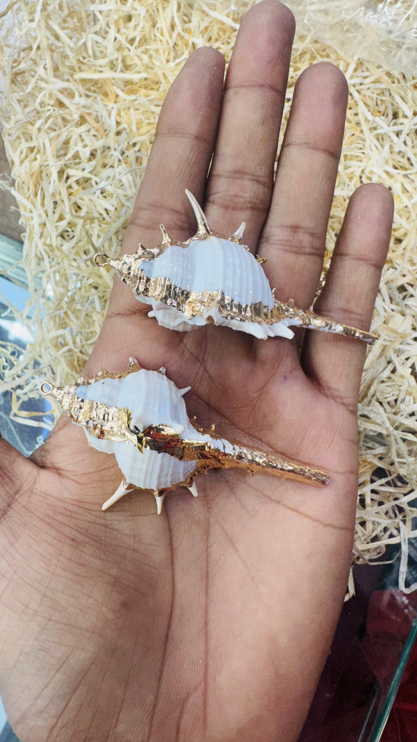 Gold Seashell, Natural Sea Shell Pendant,65 MM