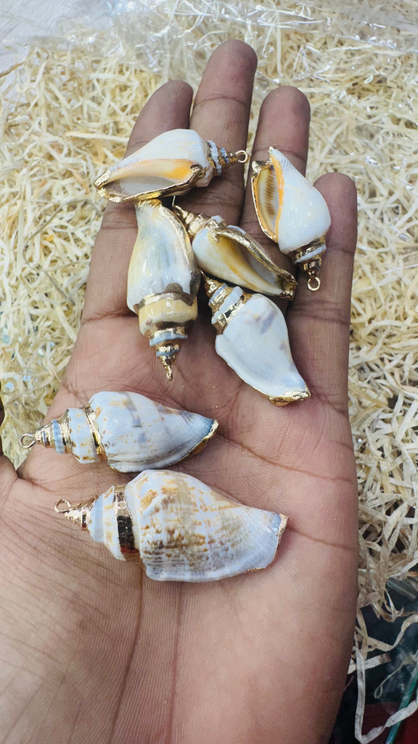 Gold Seashell, Natural Sea Shell Pendant,50 MM