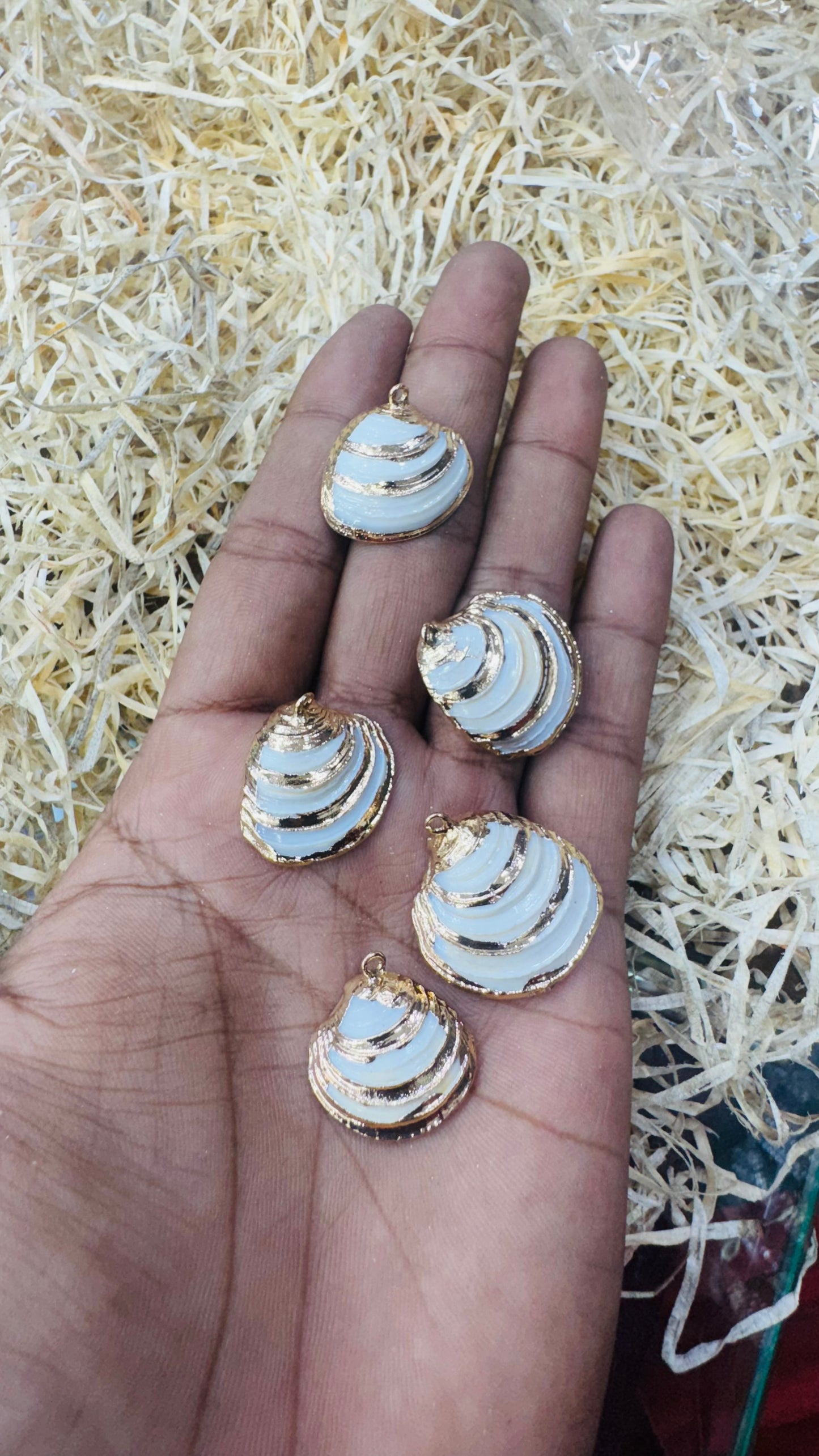 Gold Seashell, Natural Sea Shell Pendant