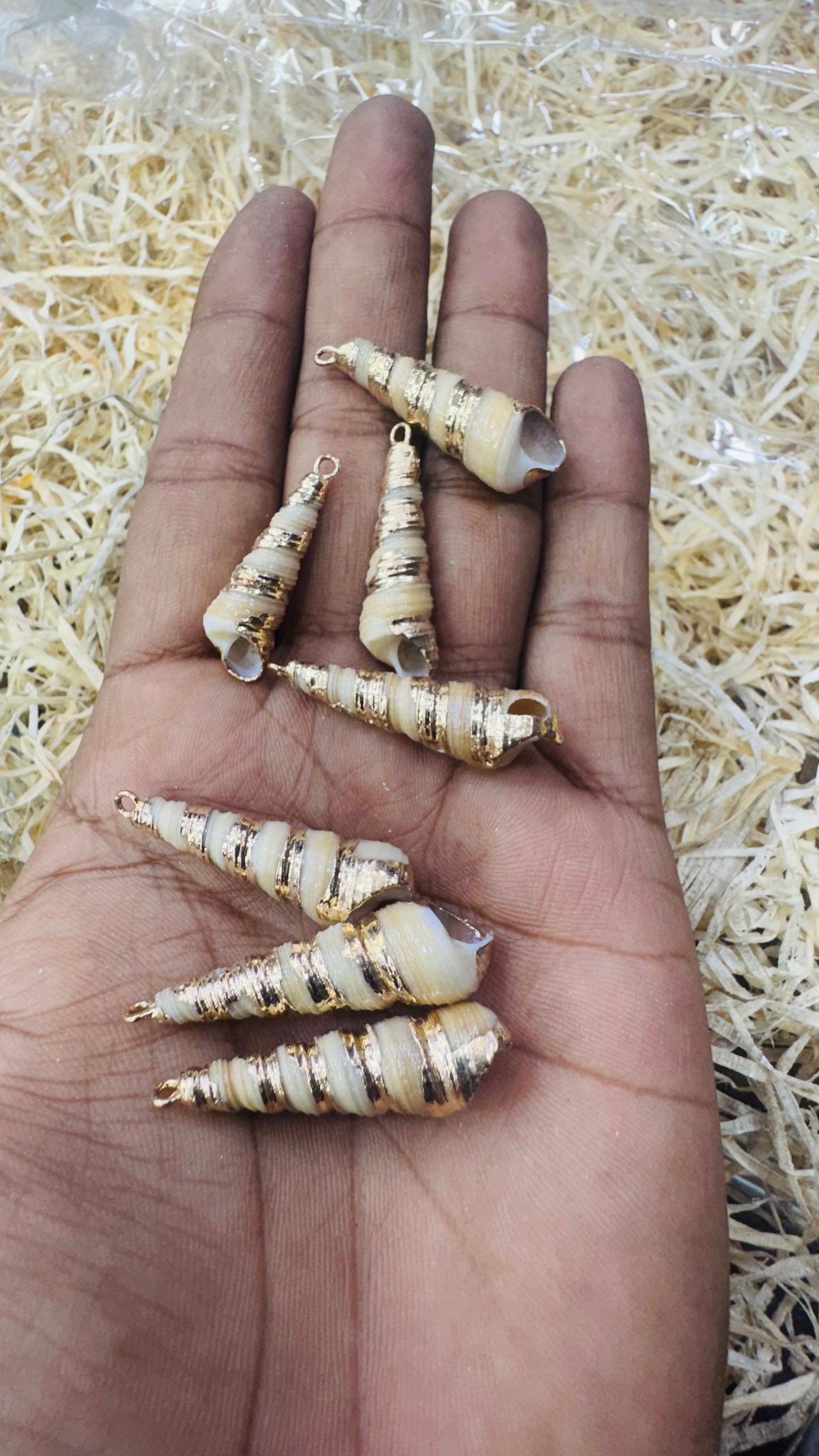 Gold brown Seashell, Natural Sea Shell Pendant, 50 MM