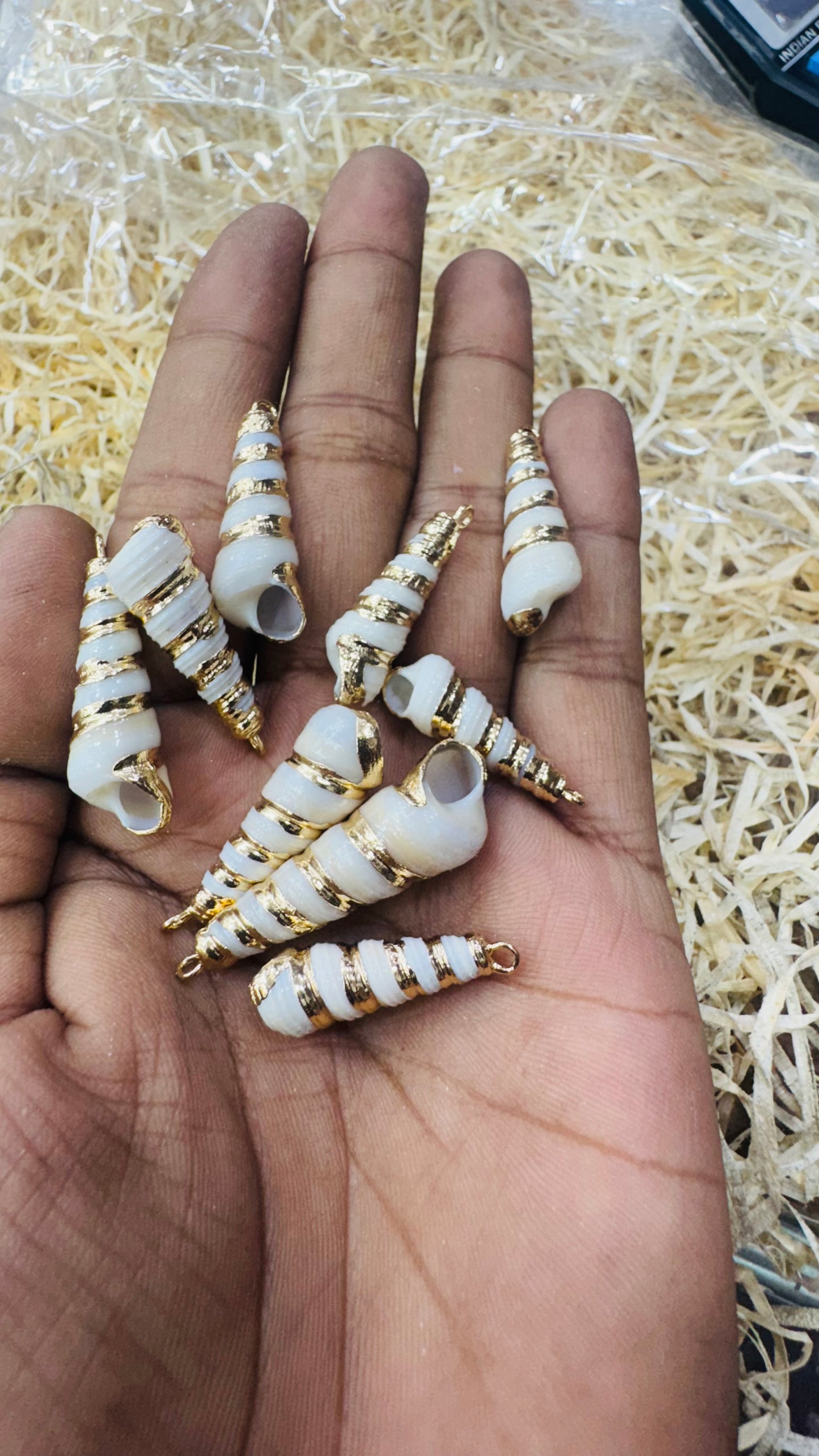 Gold Seashell, Natural Sea Shell Pendant, 45 MM
