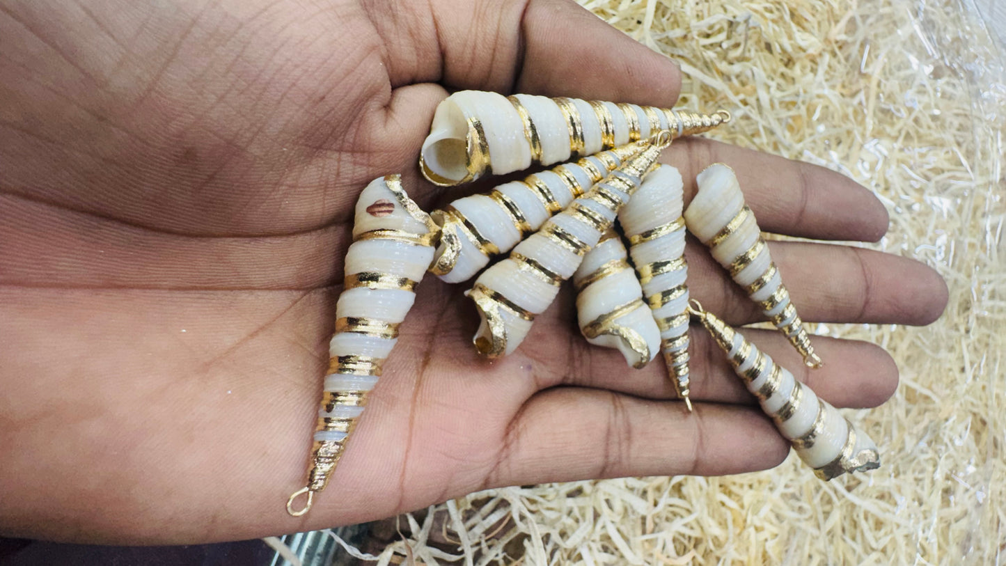 Gold Seashell, Natural Sea Shell Pendant