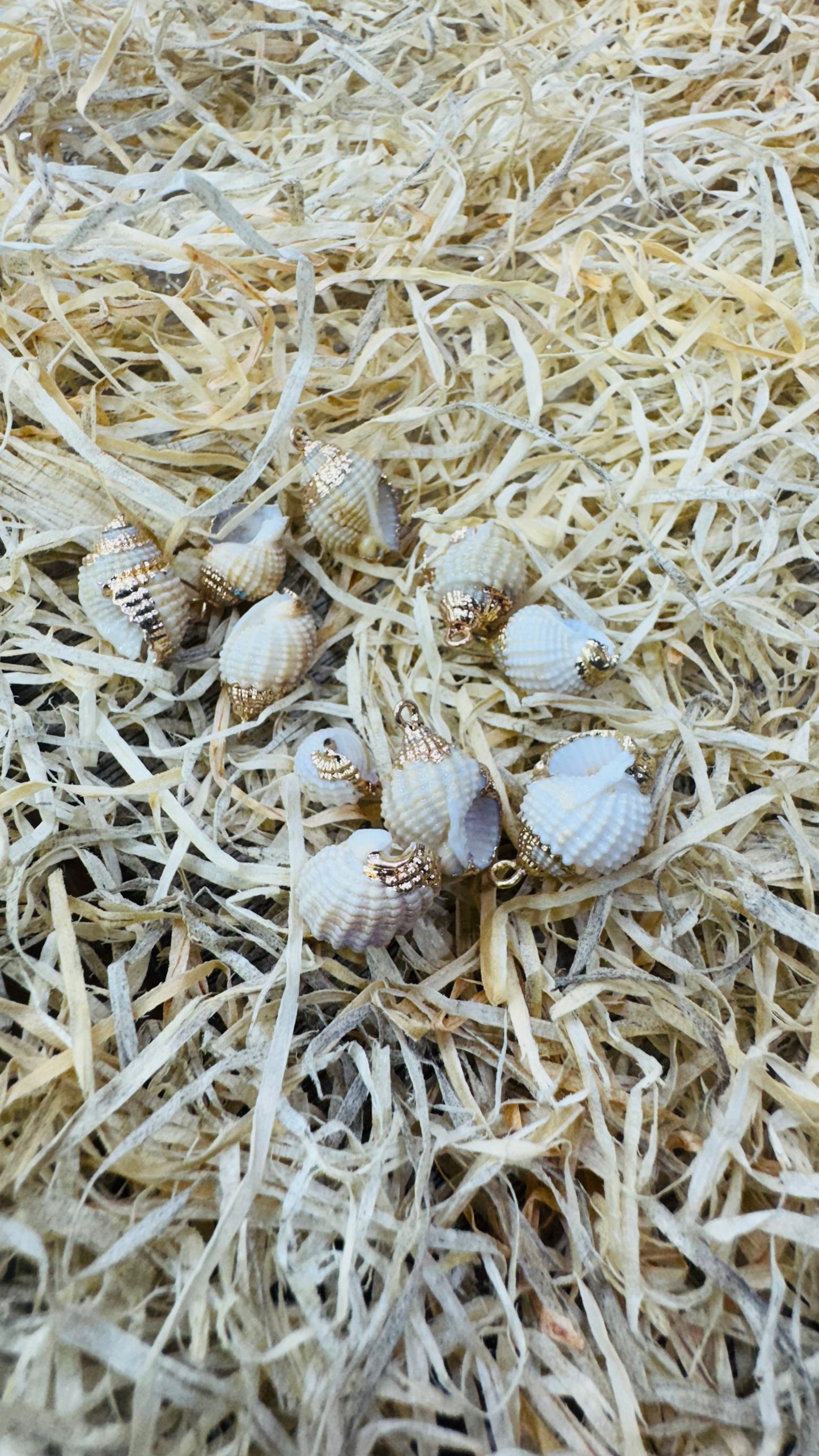 Gold Seashell, Natural Sea Shell Pendant