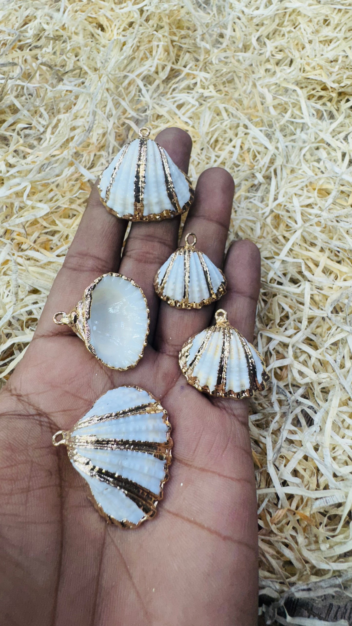 Gold Seashell, Natural Sea Shell Pendant