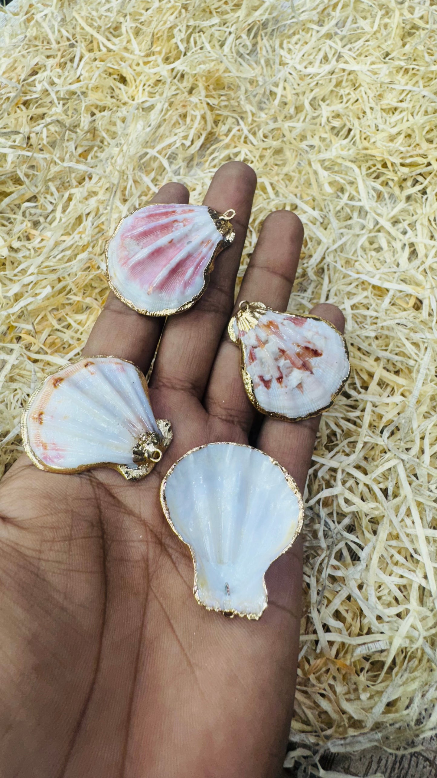 Gold Seashell, Natural Sea Shell Pendant