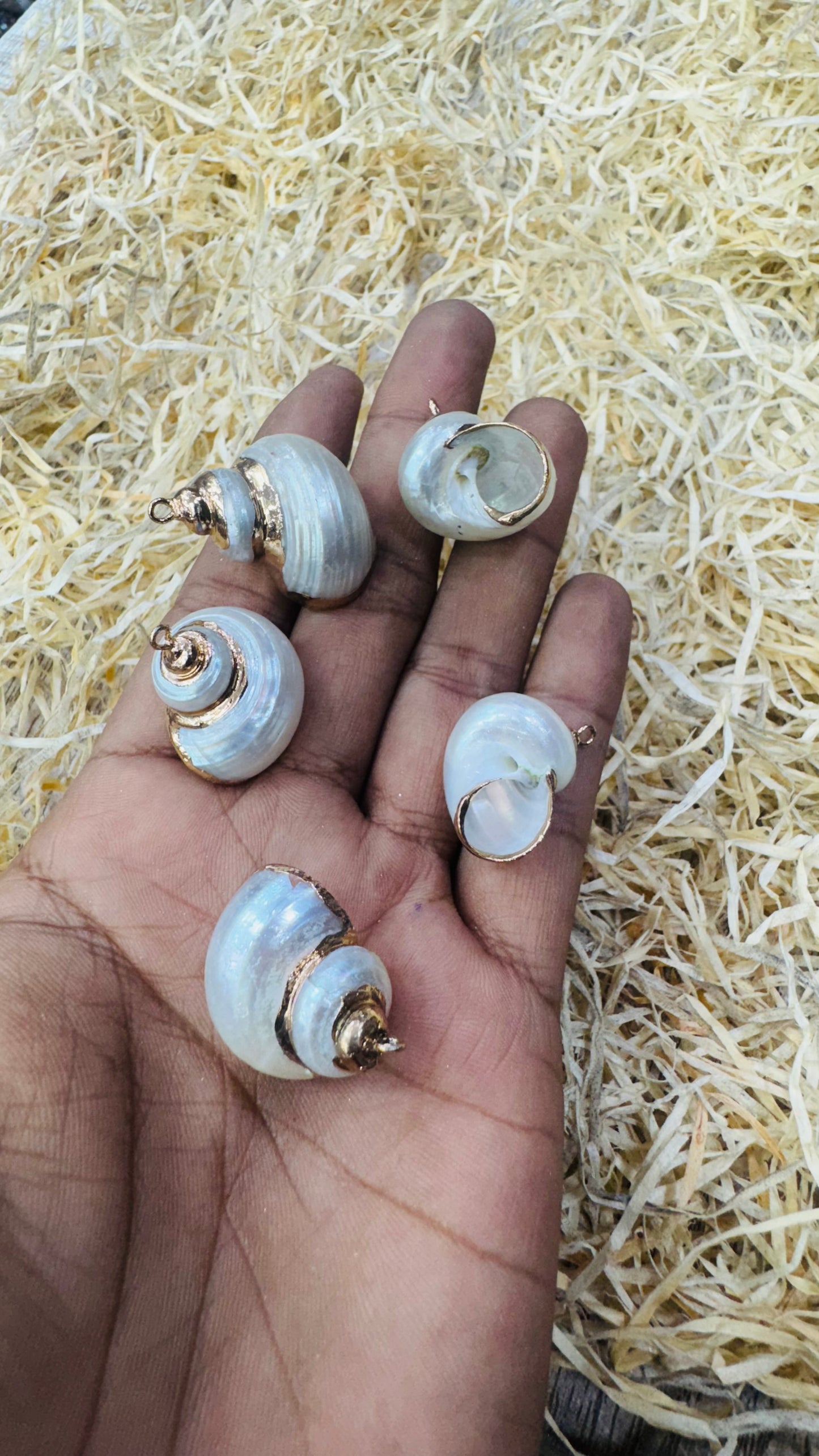 Gold Seashell, Natural Sea Shell Pendant