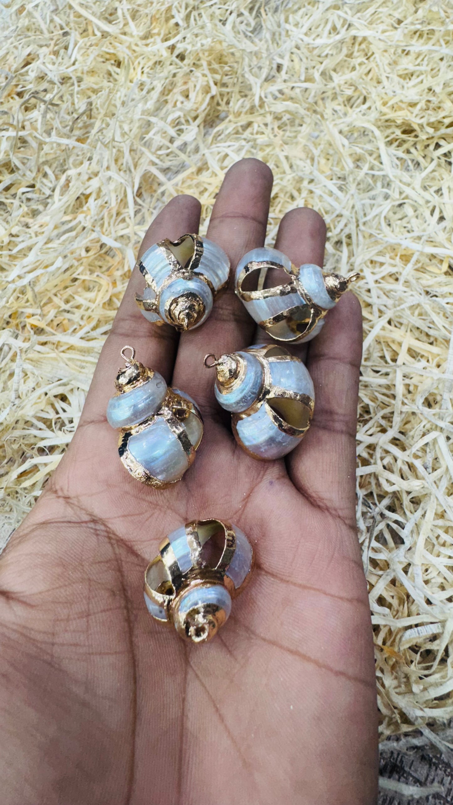 Gold Seashell, Natural Sea Shell Pendant
