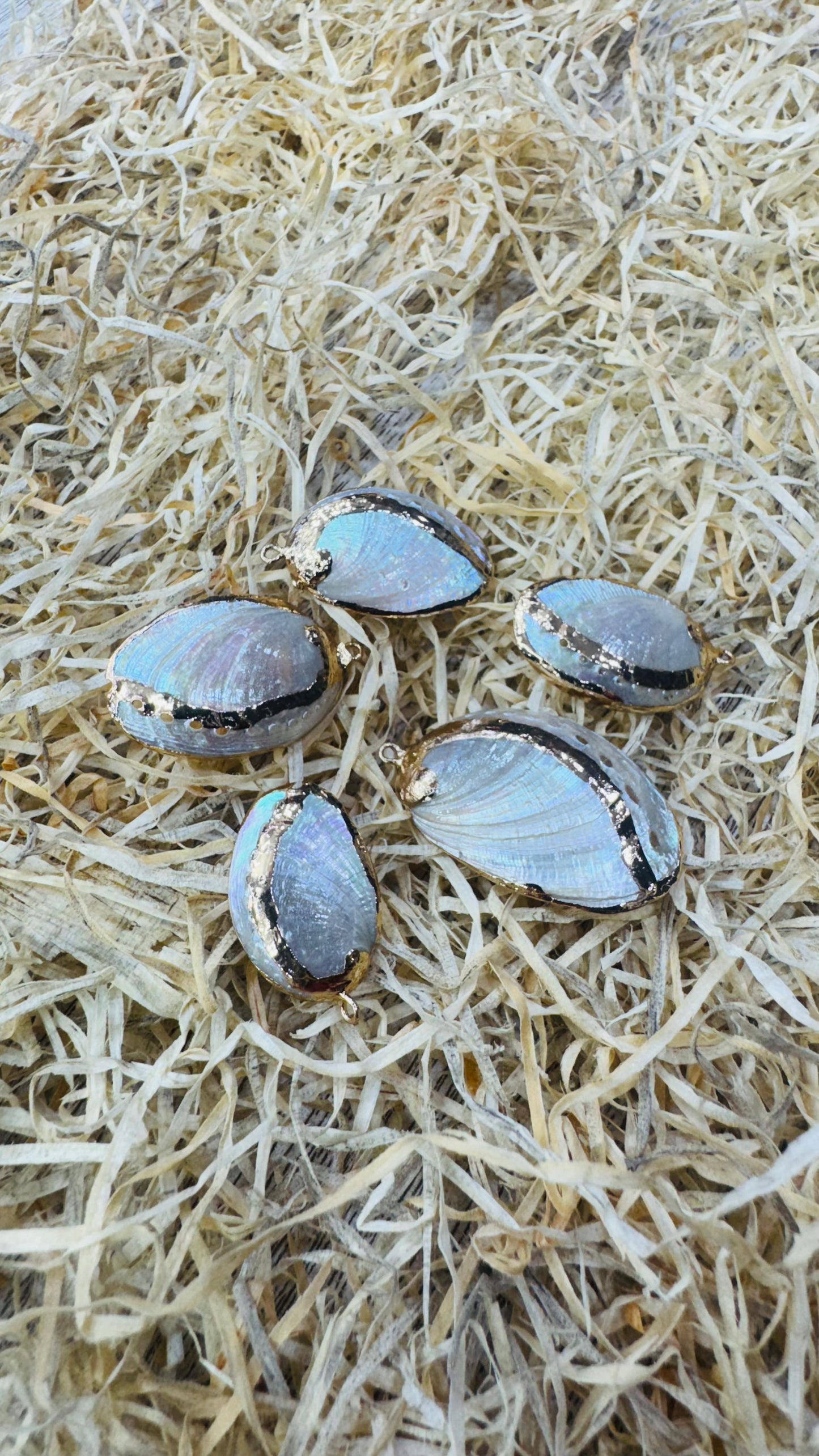 Gold Seashell, Natural Sea Shell Pendant