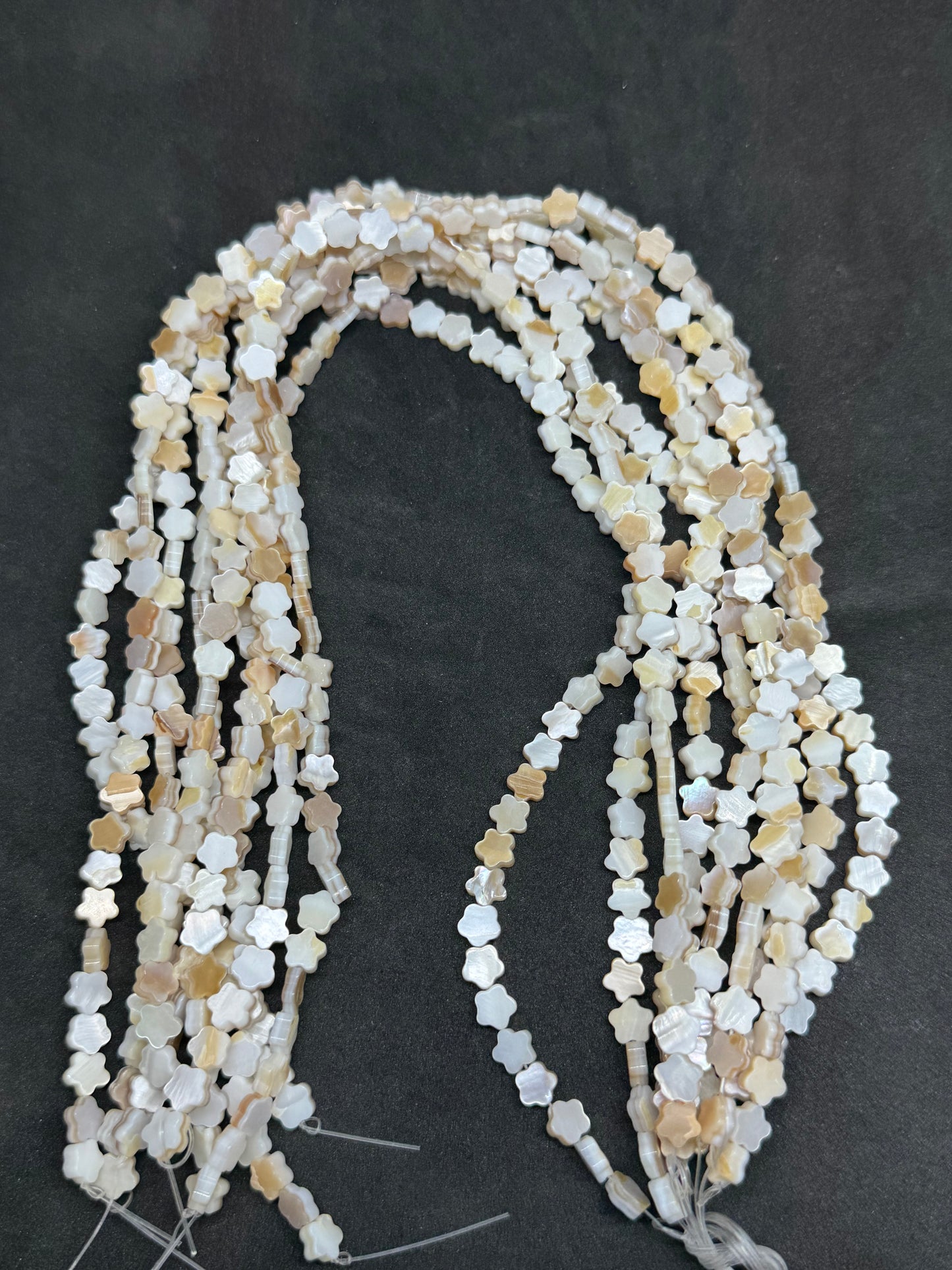 Mop shall star cut 6.8 mm