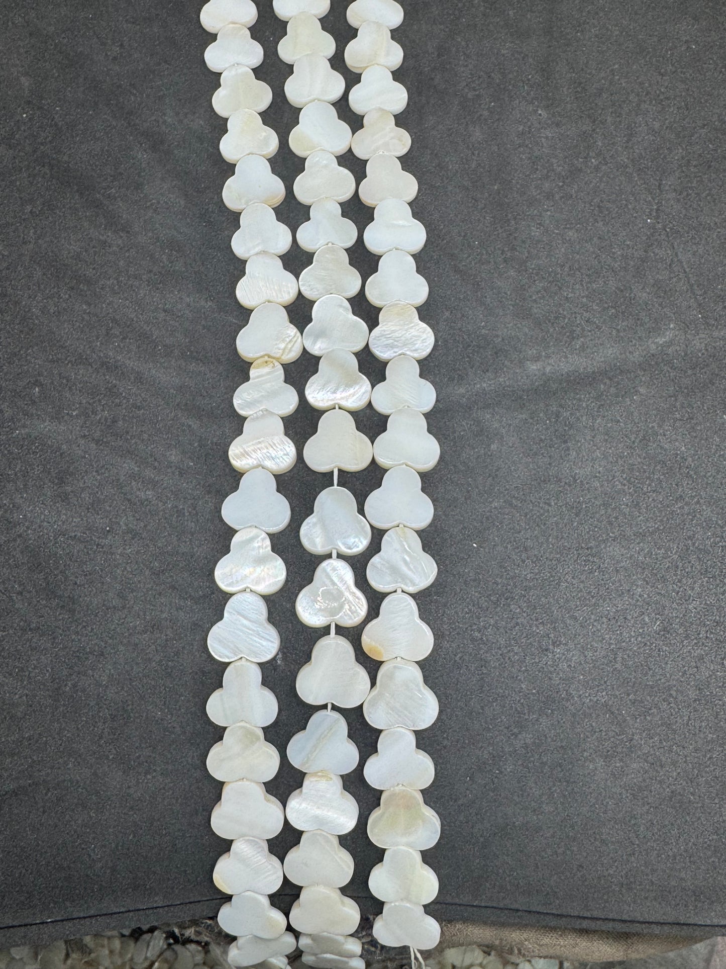 Mop shall 14@14 new Tricon design