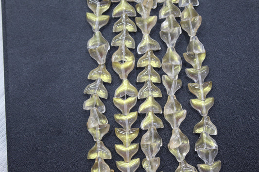 Glass Sea Fish