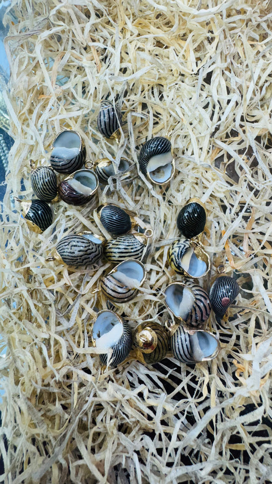 Gold Seashell, Natural Sea Shell Pendant,30 MM