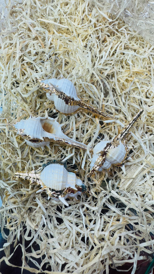 Gold Seashell, Natural Sea Shell Pendant,65 MM