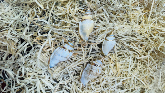 Gold Seashell, Natural Sea Shell Pendant,50 MM