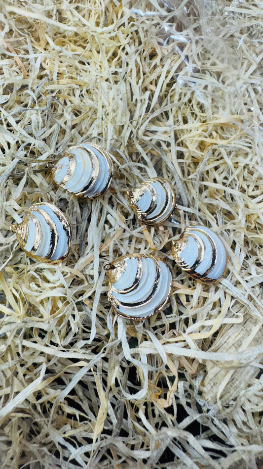 Gold Seashell, Natural Sea Shell Pendant