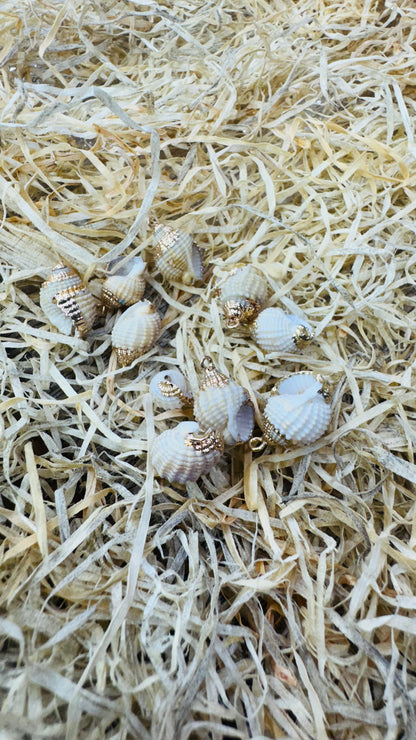 Gold Seashell, Natural Sea Shell Pendant