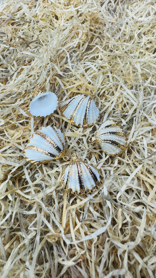 Gold Seashell, Natural Sea Shell Pendant