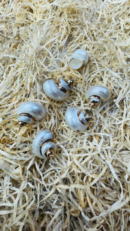 Gold Seashell, Natural Sea Shell Pendant