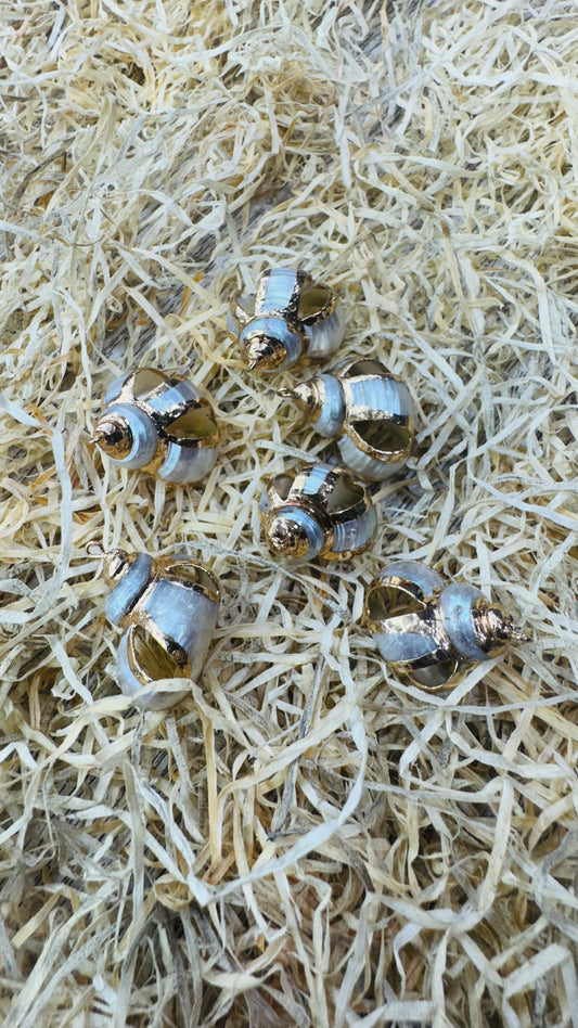 Gold Seashell, Natural Sea Shell Pendant