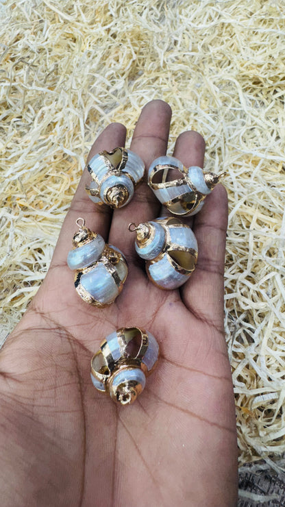 Gold Seashell, Natural Sea Shell Pendant