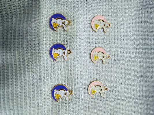 Enamel Charms