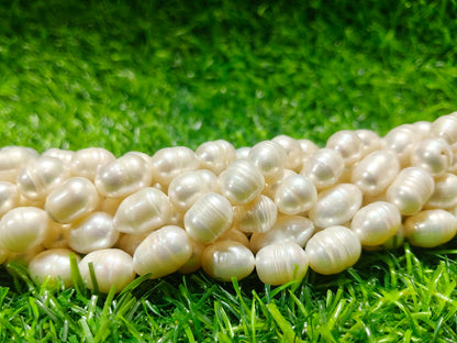 Natural Freshwater Pearl Beads String – Oval Shape | 32 Pieces per Strand | Loose Pearl Beads for Jewellery Making