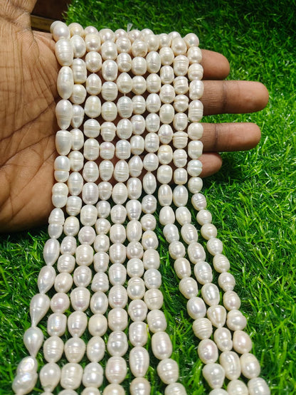 Natural Freshwater Pearl Beads String – Oval Shape | 34 Pieces per Strand | Loose Pearl Beads for Jewellery Making